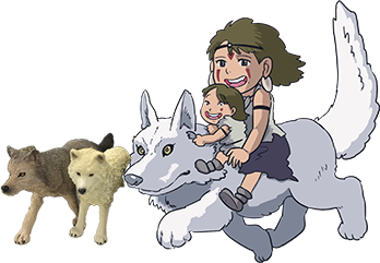 無類のオオカミ好き