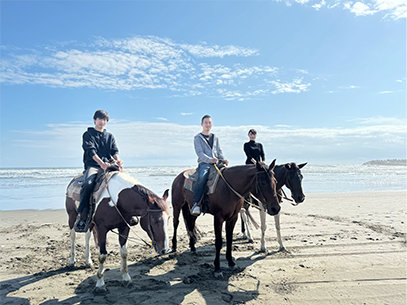 馬との触合いは最高