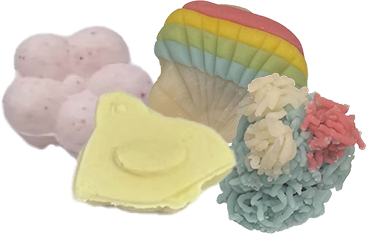 和菓子づくり・お抹茶体験